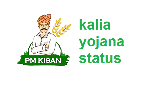 kalia status